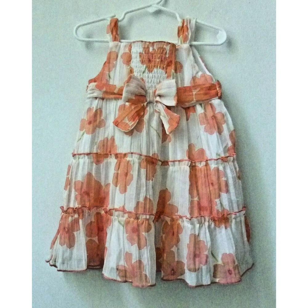 Girl's Dress Size 24M Sleeveless Youngland Summer Party Fit & Flare Floral